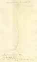 Bromus scoparius L., baksida