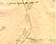 Clinopodium vulgare L., baksida