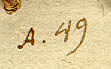 Convolvulus althaeoides L., närbild av text x3
