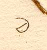 Dolichos sp., symbol