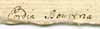 Heliotropium fruticosum L., close-up of Linnaeus text