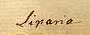 Linnaeus fil.'s handwriting