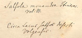 Pallas's handwriting