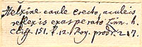 Schreber's handwriting
