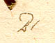 Passiflora quadrangularis L., närbild av Linnés text