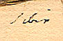 Saxifraga punctata L., close-up of Linnaeus' text