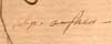 Saxifraga stellaris L., close-up of Linnaeus' text
