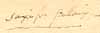 Saxifraga stellaris L., närbild av Linnés text