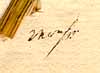 Sium sisarum L., närbild av Linnés text