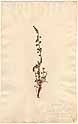 Teucrium asiaticum L., framsida