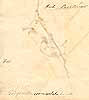 Trigonella corniculata L., baksida