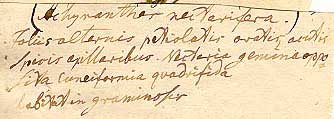 K&ouml;nig's handwriting