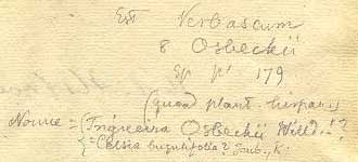 Lindman's handwriting