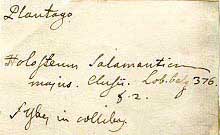 Loefling's handwriting