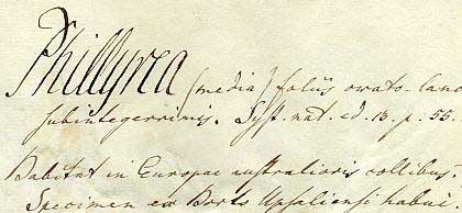 Montin's handwriting